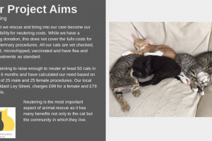 screenshot-2023-11-13-20-20-58.png - Help voluntary cat rescue in Redbridge