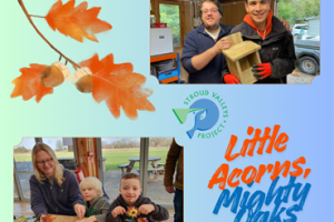 Little Acorns, Mighty Oaks
