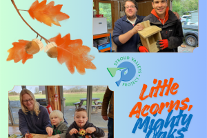 little-acorns.png - Little Acorns, Mighty Oaks