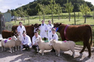 img-id-42130953-jpg-gallery.jpg - Save Our College Farm Minehead