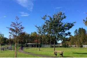 Ainsdale Park- the Picnic Bench Effect