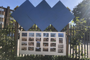 9-tottenham-pavilion-2019-pilot-board.jpg - Help make Tottenham Pavilion happen