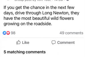 facebook-4.png - Wild flowering of Long Newnton Verges