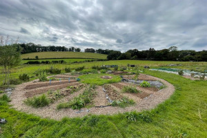 whats-app-image-2024-07-18-at-16-20-33-b-10-a-2250.jpg - Treflach Community Growing Hub
