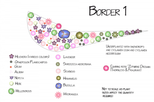 border-1.png - Create a Community Garden for Tickhill