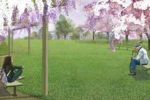 draft-3-low-res-a-3-rgb-quiet-orchard.jpg - Vine Rd Project, Engaging the Community