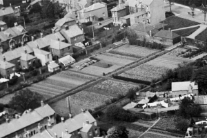 captains-garden-1920.png - Community Orchard at Captains Garden