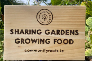 What To Grow Over Winter at Community Roots Community Hub, Annaly Road, Cabra, Dublin 7