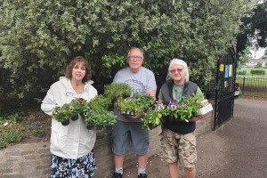 Flowers ready for planting at Secret Garden for the Blind, Harrow Lodge Parl