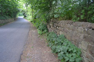 Transform our village lanes and walls 