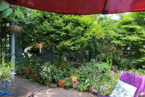 patio-rockery.jpg - Sustainable Urban Community Garden