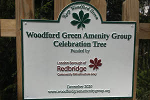 pic-11.jpg - Woodford Celebration Tree Maintenance