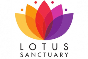 Help Lotus Sanctuary Empower Women