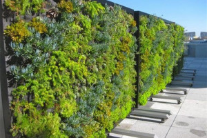 mur-ve-ge-tal-amovible-exterieur-panneau-plantes-cloison.jpg - The London Biome