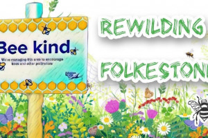 facebook-group-cover-1680167947890.jpeg - Rewilding Folkestone Community Project