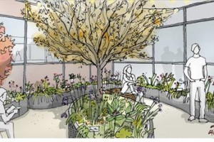 Charing Cross Hospital Pop Up Garden