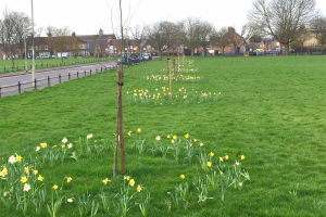 springbulbs.png - Recycle Friendly Bins for Watford Fields