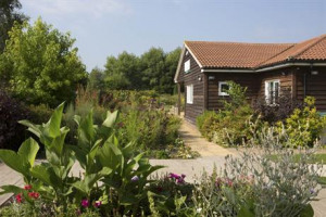 The Therapy Garden Workshop Quest!