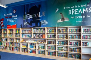 Creating a new library at Hailey School 
