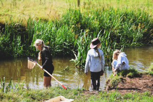 campout-river-dipping.png - River-Friendly Farming at Fordhall Farm
