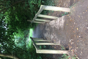 9-ecddf-9-b-f-6-a-4-454-a-a-071-ca-724-de-90-afe.jpeg - REBUILDING BRIDGES
