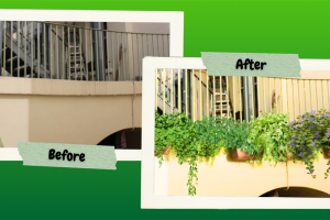 outdoor-garden-1-3.png - Bloom & Connect: Greening our Community