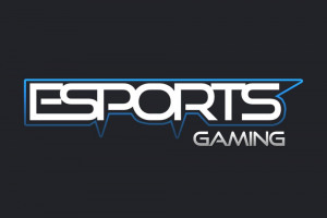 c-899-eea-1-f-7-dc-48-fa-9-b-06-508-b-926645-f-3.jpg - ESports Tournament