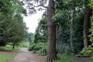20230627-145114.jpg - Tree Sculpture at Temple Newsam Park 