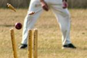 Cricket in Somerleyton