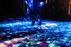 EXPLORE -  Art, Light & Science