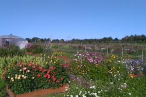 Bonterre Rural Skills and Social Hub