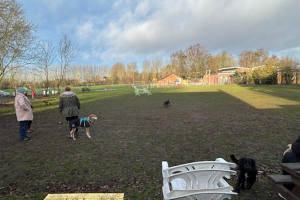 img-5874.jpg - Dog play paddock and exercise area