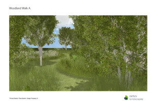 concept-design-6-natural-area.jpg - A Centenary Rose Garden for the future