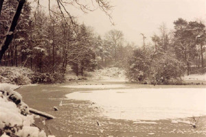 harlow.jpg - Oakwood Pond Restoration