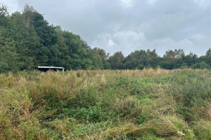21146358-0663-406-b-8-bc-6-757-f-198-ce-2-e-6.jpg - Rushall Village FC - Ground Development
