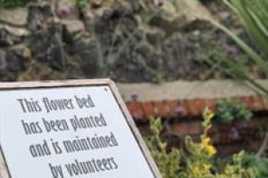 Community Garden for Wellbeing & Skills