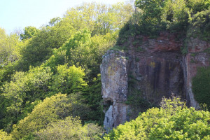 1-bvdfd.jpg - Protecting wild spaces in Torbay