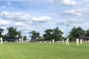 The Great Walsham Cricket Return!