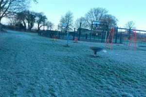  Annscroft Play Area wheel friendly path