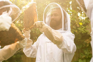eaf-5096-a-c-191-4-b-09-8-ca-9-0227-d-22-cb-303.jpg - Bees and Refugees