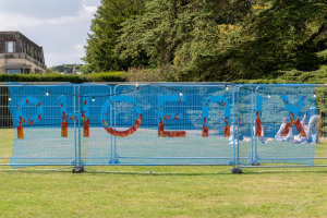 phoenix-festival-20-of-412.jpg - The Phoenix Festival Cirencester 2025