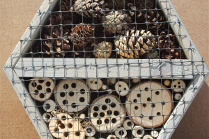 small-hex-bug-hotel.jpg - A roof over our Chorley Sheds