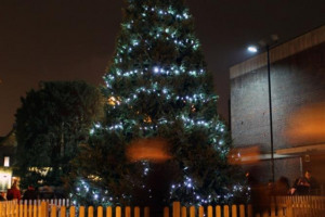 st-albans-christmas-tree.jpg - Light up St Albans