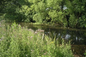 River-Friendly Farming at Fordhall Farm