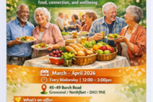 Nourish & Connect: Seniors Support Hub