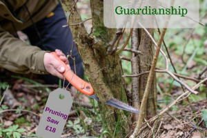 guardianship.jpg - Enable Wellbeing in Nature Cirencester 
