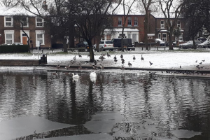the-green-in-winter-2021.jpg - Flourishing Feltham Green 