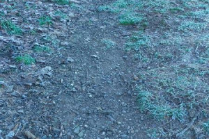 path-now-1.jpg -  Annscroft Play Area wheel friendly path