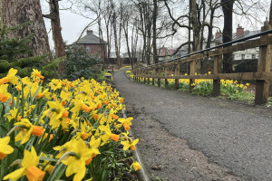 img-9586.jpg - Rowlands Dell: A Green Haven Restored