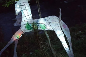 lantern-horse.jpg - Stacksteads Lantern Parade